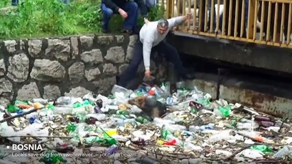 The World can sometimes be a cruel place.