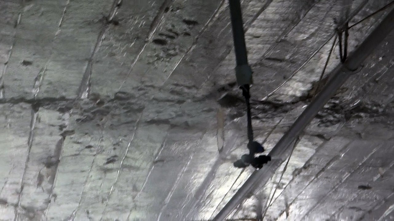 Poultry cooling system