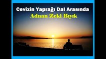 CEVİZİN YAPRAĞI DAL ARASINDA-ADNAN ZEKİ BIYIK