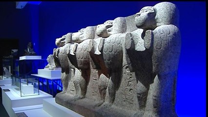 Los "escandalosos" babuinos salen por primera vez del Louvre