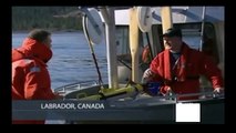 WWII German U-Boat found in Churchill River in Labrador Canada