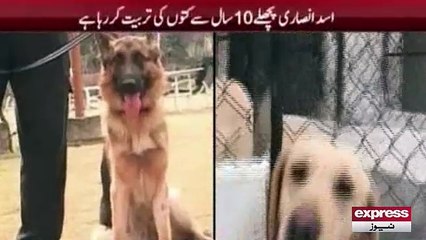DOG traning in Pakistan