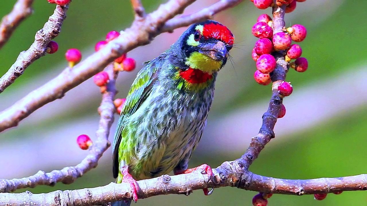 Steve Boyes with DJ Fresh on 5FM Radio Station