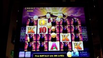 Aristocrat - Buffalo Slot Stampede Over 1000x my bet!! - Parx Casino - Bensalem, PA