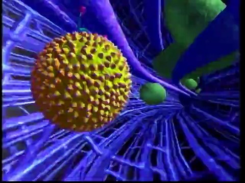 Cetu Javu - Have in Mind (1988)