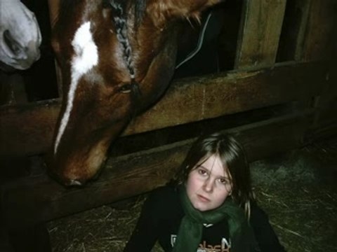 Good-boy un cheval de réve