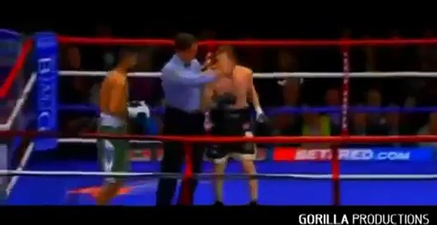 Amir Khan vs Dimitry Salita - Amir khan knock out Salita in few seconds