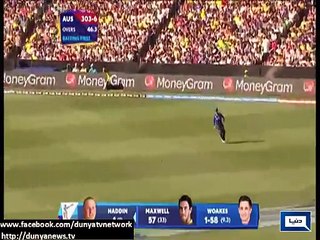 Dunya News - Sports Round Up: Brief news related to sports
