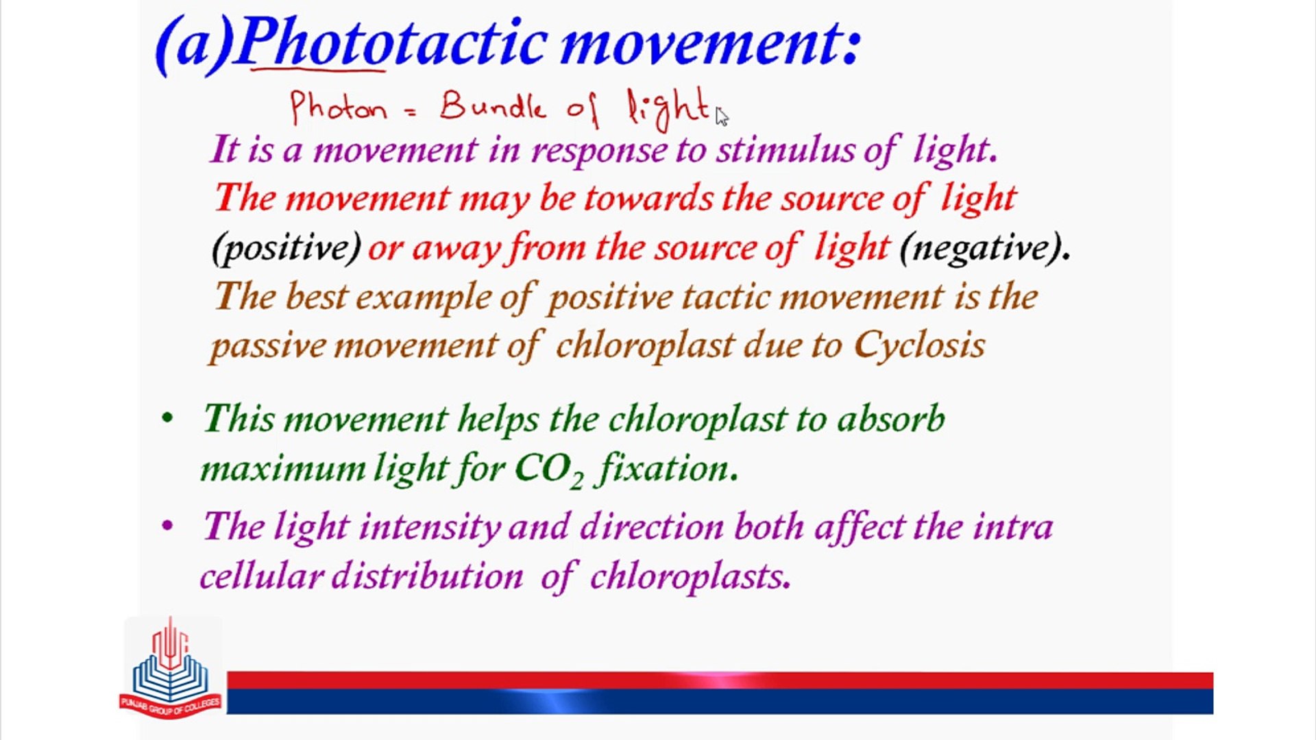 Chemotaxis Movement