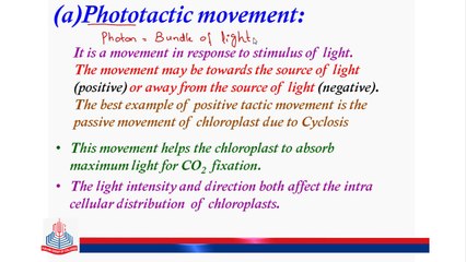 Phototactic Movement/ Chemotactic movement