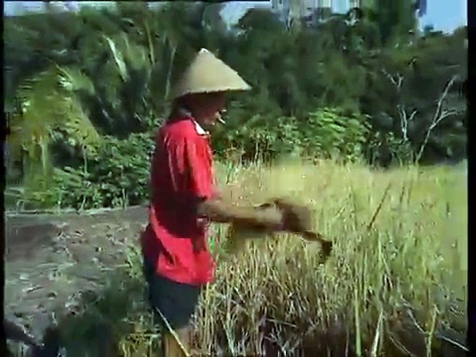 Tectonics of the Planet Earth [educational video]