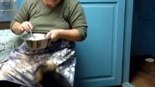 Собака говорит мама ! - Прикол ! Dog Says Mama !