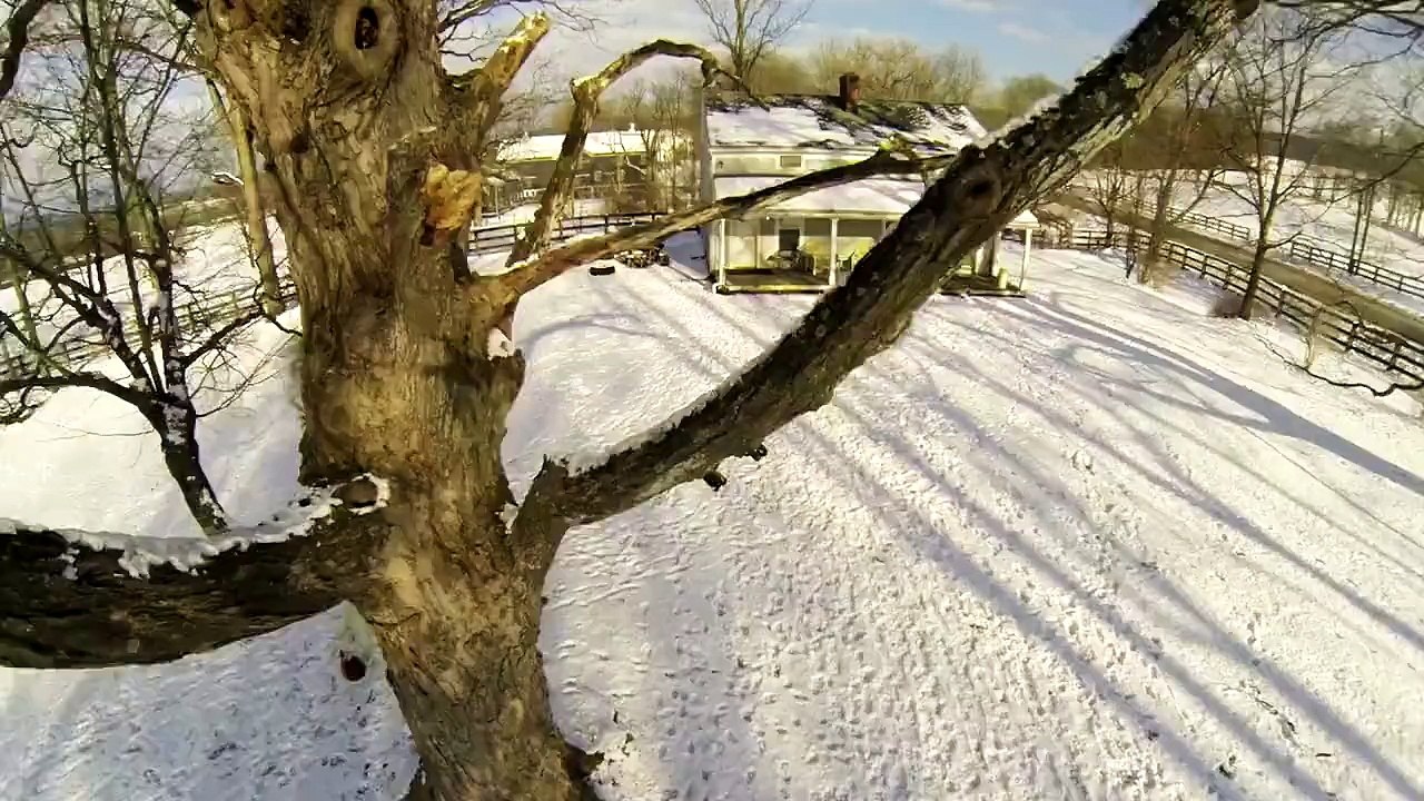 Audience_snowscape