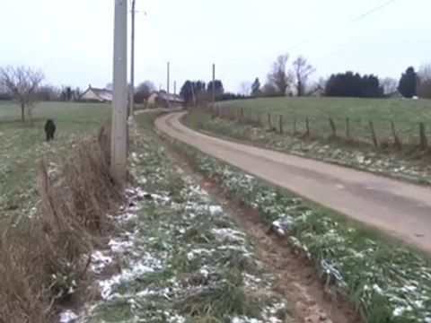 Ils se font Charger par un Sanglier mais sont Sauvés par des Poneys