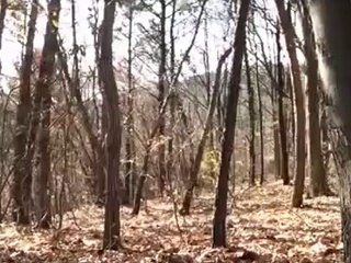 Les Fantômes Existent - La Vidéo Preuve Indiscutable !