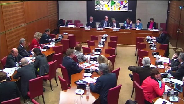 Intervention d'Hervé Féron en Commission des Affaires Culturelles et de l'Education : Audition de MM. Pierre Lescure, président du Festival de Cannes, et Thierry Frémaux, délégué général