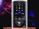 Sony NWZE383 4 GB Walkman MP3 Video Player Black
