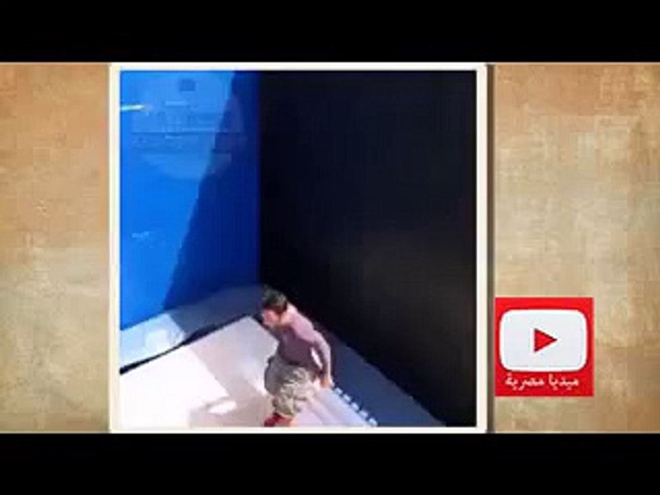 فيديو جميل