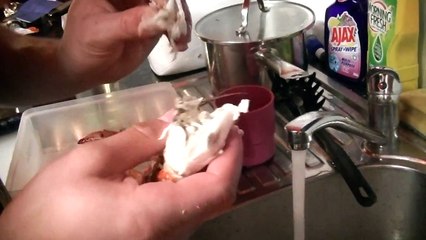 Cooking Crabs