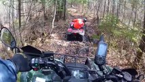 Grizzly, Kodiak And Fourtrax Return To The Beaver Pond