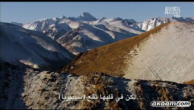 السلسلة الوثائقية روسيا البرية Wild Russia - الحلقة الثالثة سيبيريا - Siberia