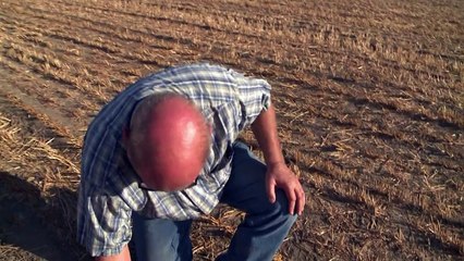 Califórnia restringirá pela primeira vez uso da água