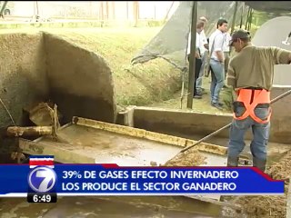 Ganaderos costarricenses esperan reducir en un 35% emisión de gases en 10 años