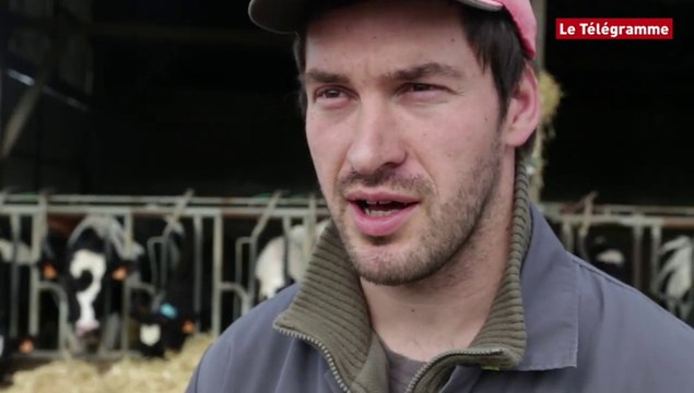 Fin des quotas laitiers. L'avis de deux jeunes frères