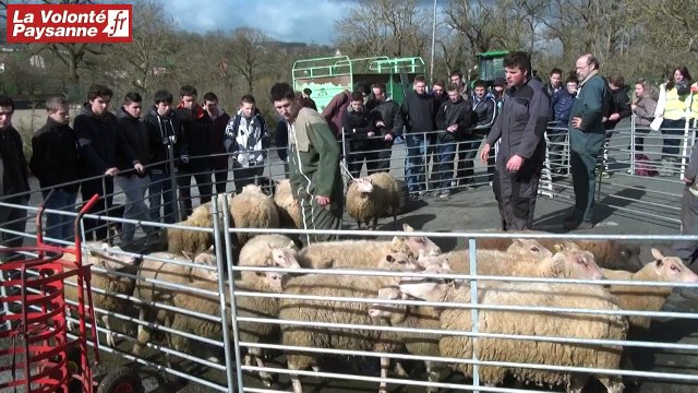 MSA Midi-Pyrénées-Nord et lycées agricoles