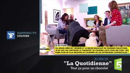 Zapping TV : Lambert Wilson offre une petite culotte à Anne-Sophie Lapix
