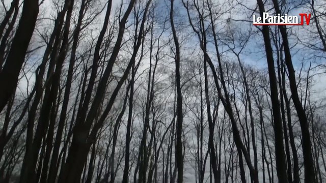 Nouveau chemin des crêtes sur les buttes du Parisis