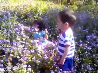 Cabras y su leche tienen fascinada a toda una comunidad en Heredia