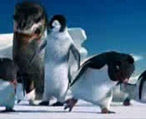 Punjabi Totay Panguin Talking to Sea Lion