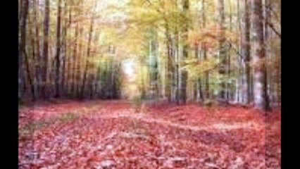 You`ve got a friend - James Taylor