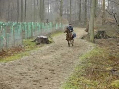 Balade 21.2.2007 => Petit galop avec Nep