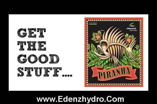 Hydroponic Nutrients Spring 2015 - Edenz Hydro - Royal Oak, Michigan