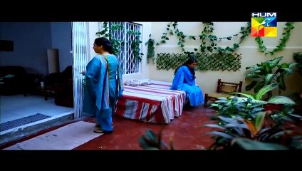 Sartaj Mera Tu Raaj Mera Episode 23 on Hum Tv in High Quality 1st April 2015