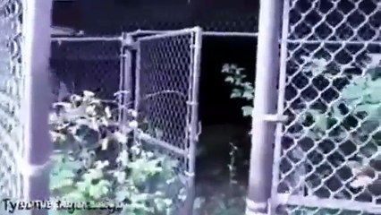 Lujosa residencia de Mike Tyson se convertirá en iglesia (VIDEO)