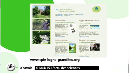 Les mauvaises herbes redorent leur blason