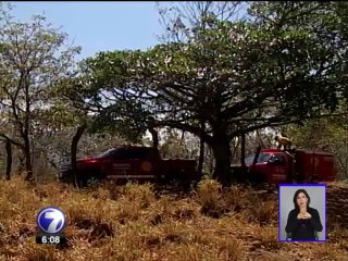 Temporada de incendios forestales registró una baja del 50%