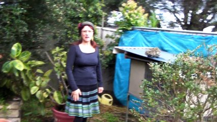 how to build a self-cleaning chicken coop