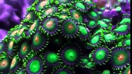 Beautifull Urdu Poem For Daughters By Mothers - Laga Kar Apnay Seenay Say Kaha Yun Maa Nay Beti Say