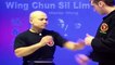 ---Wing Chun kung fu - wing chun  siu lim tao Lesson 2