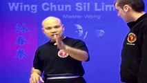 ---Wing Chun kung fu - wing chun  siu lim tao lesson 5
