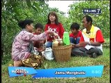 Ragam Indonesia Olahan Mengkudu, Kerupuk Unik & Agar Agar Buah 1 April 2015