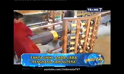 On The Spot Fakta Unik Laba Laba 1 April 2015