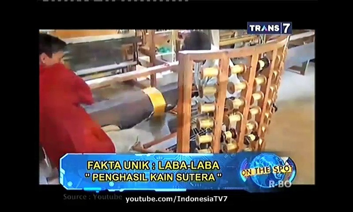 On The Spot Fakta Unik Laba Laba 1 April 2015