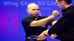 ---Wing Chun kung fu - wing chun  siu lim tao lesson 9