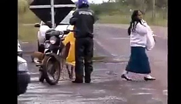 Concours du plus beau mouton de la