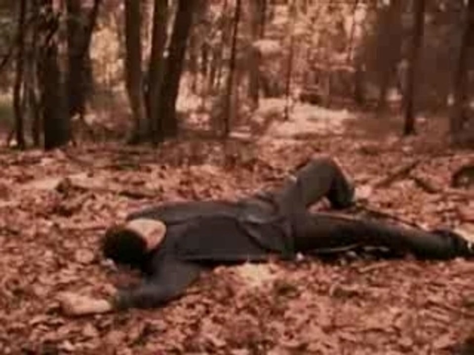 Waldgeschichte kb-show